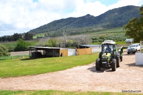 ayama wines tractor